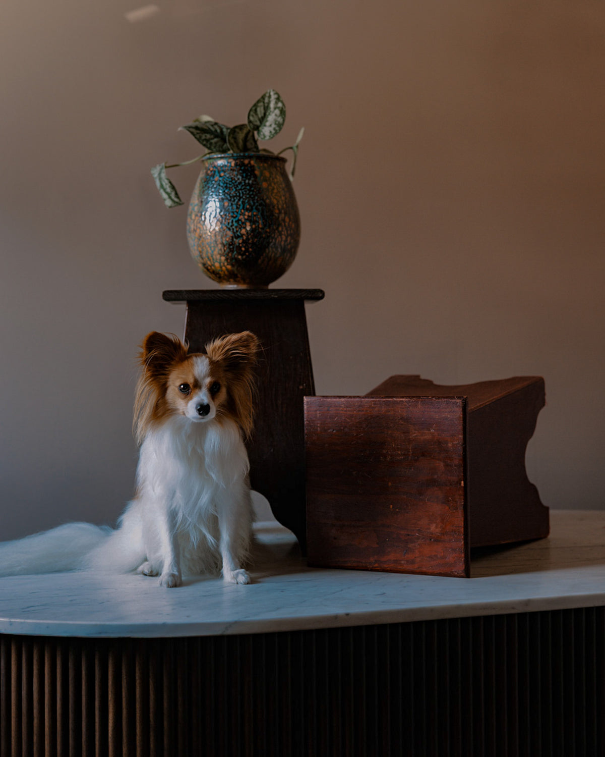 Pair of Cutout Side Tables