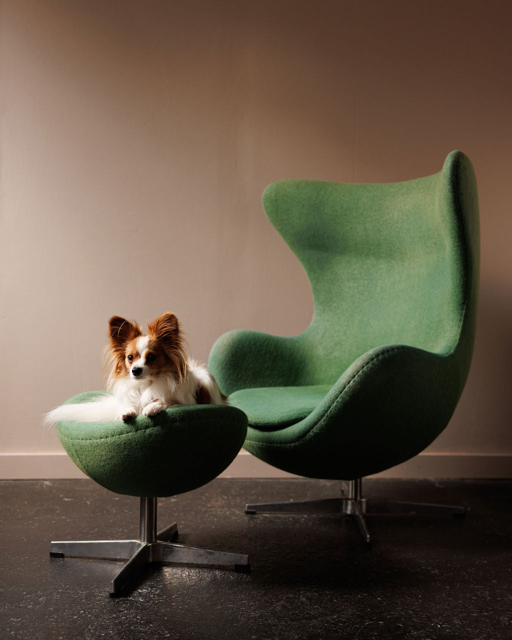 Midcentury Green Egg Chair and Ottoman