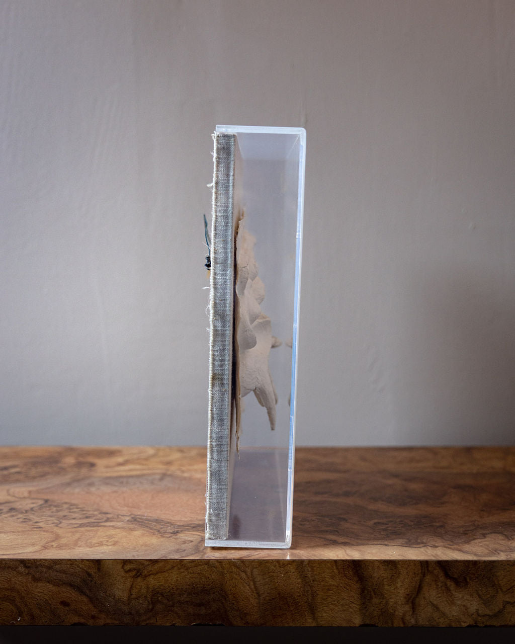 Framed Paper Sculpture on Grasscloth